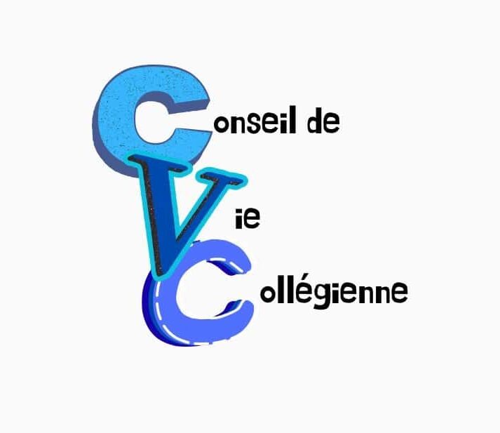 Collège – Conseil de Vie Collégienne : le Harcèlement